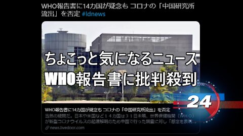 ちょこっと気になるニュース WHO報告書に批判殺到