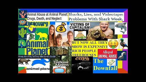 The DOWNFALL OF Animal Planet The T.V Show NetWork Files (DEEP-DIVE) Capitalism