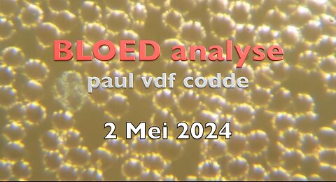 Mijn Bloedanalyse - 2 mei 2024 - paul vdf codde