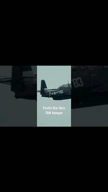 #aviationlover #aviation #warbird #airplanesdaily #military #navy #avenger #tbm #rcplane