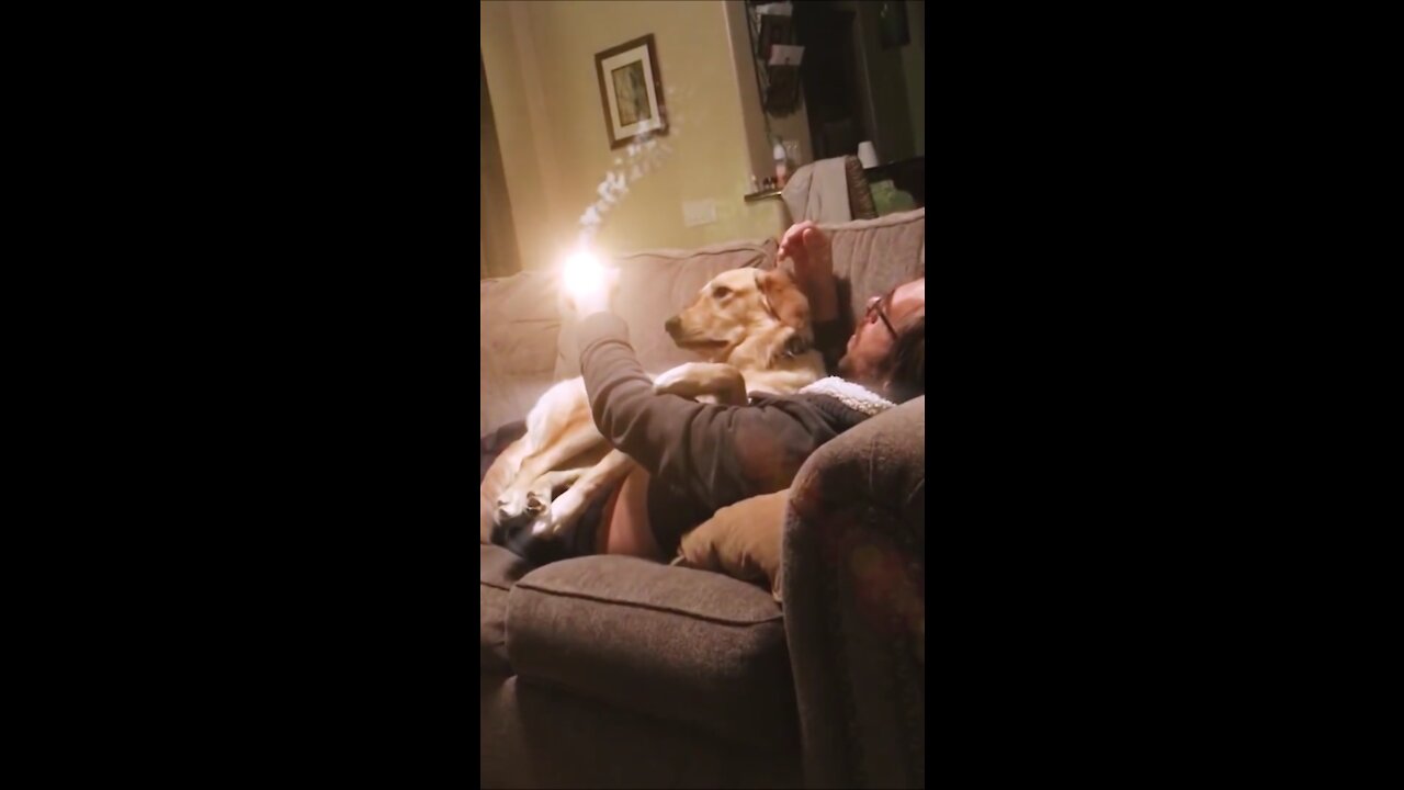 My dad launching nuclear missile on my dog