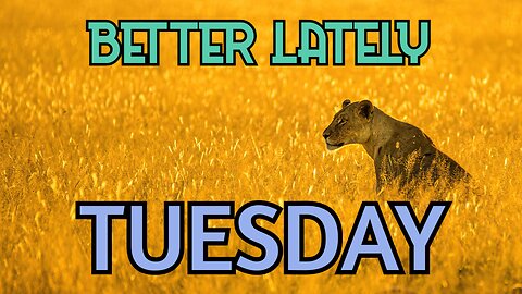 Better Lately - Tuesday