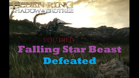 Falling Star Beast defeated | Intelligence Build | Elden Ring Shadow of the Erdtree