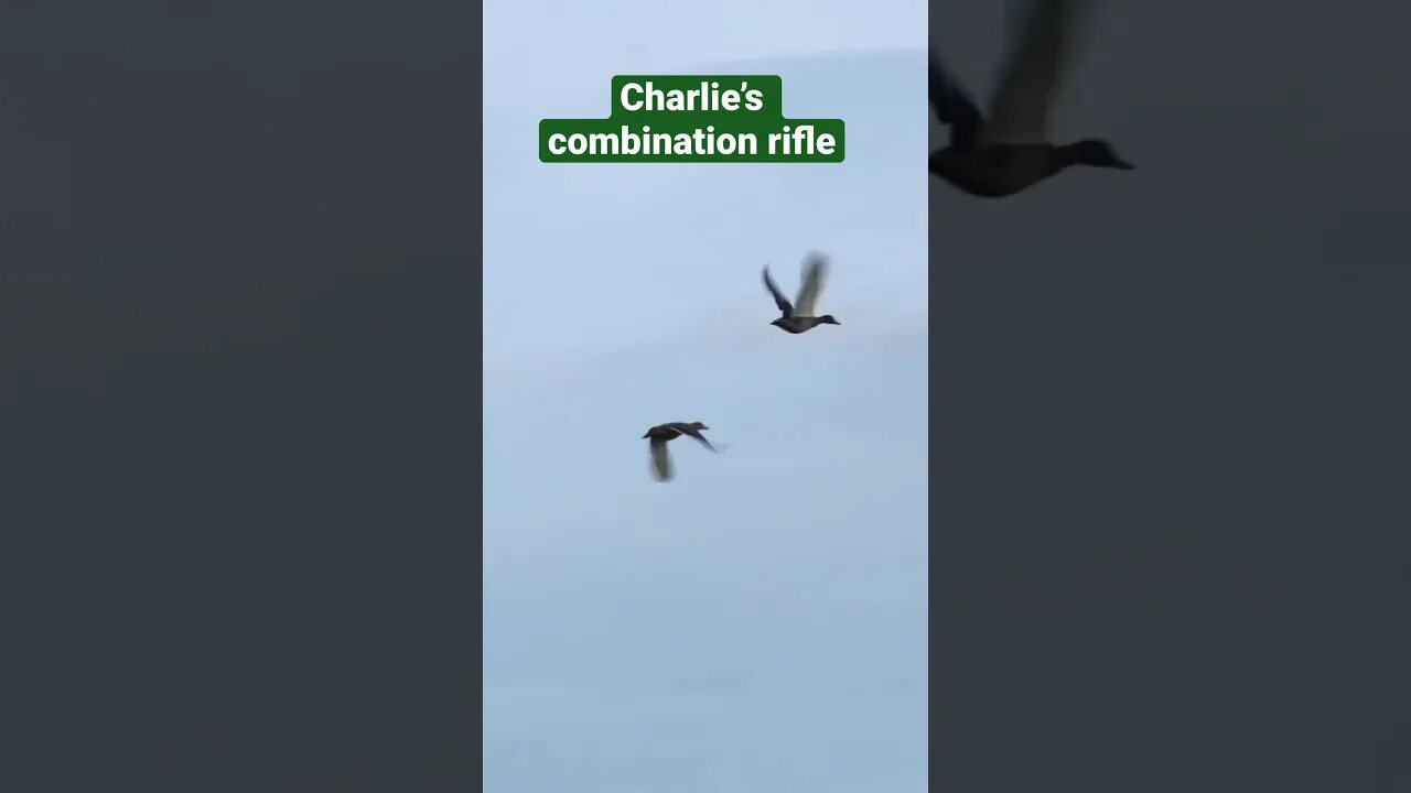 Is Charlie’s combination rifle the all-round gun he is looking for? #fieldsportsbritain