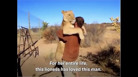 LION WHISPER SAVE ABANDONED LIONESS BABY CUB🏜️🦁🚶‍♂️💫