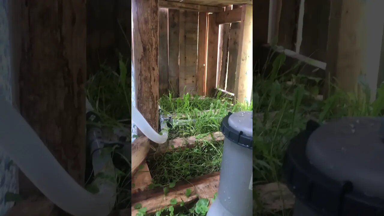 No Complaints + Deck & Pump