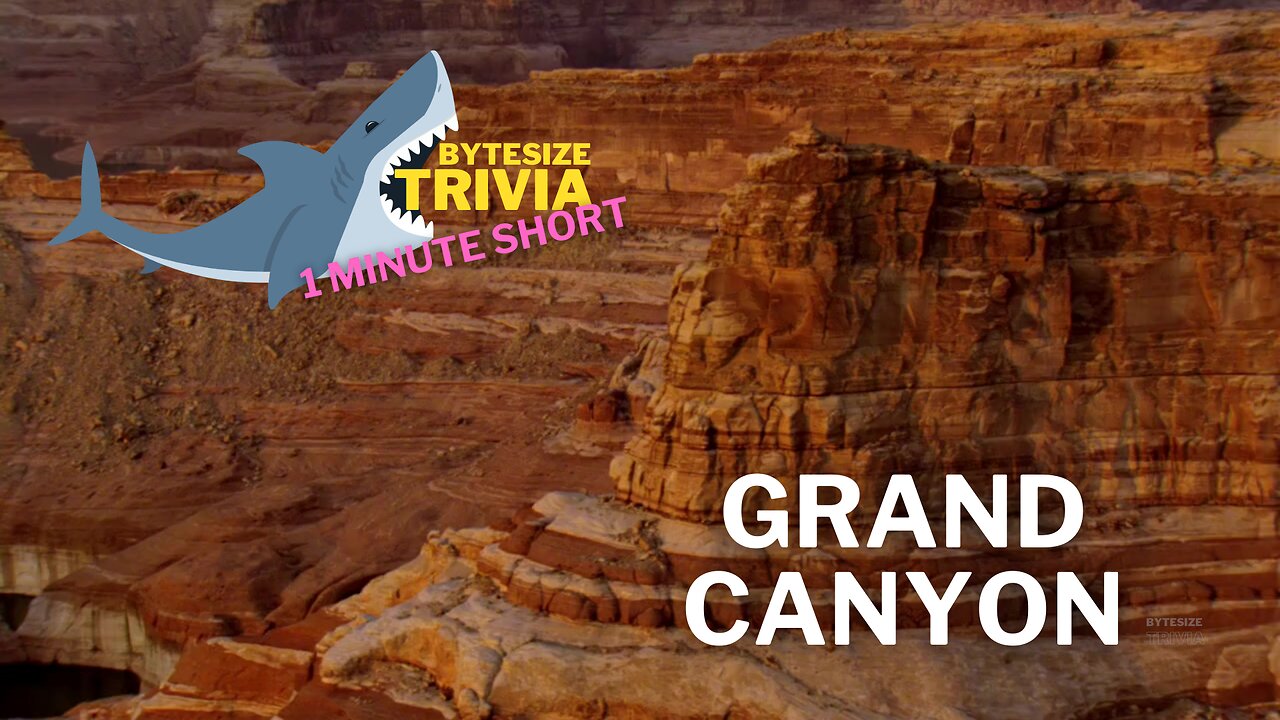 A Grand Canyon Experience in Trivia - Short Video #trivia #grandcanyon #arizona #nationalpark