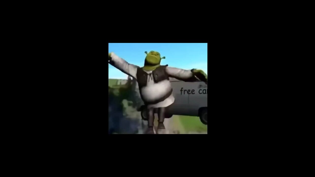 My clock at 6 AM | Funny video | Shrek | Animals | Video