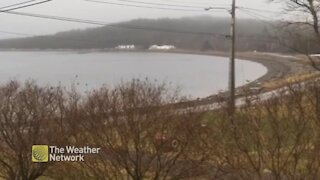 Birchy Bay, NL wonders where winter is