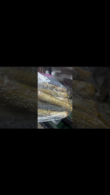 ABANDONED cuttings for over a YEAR?! See what happened…