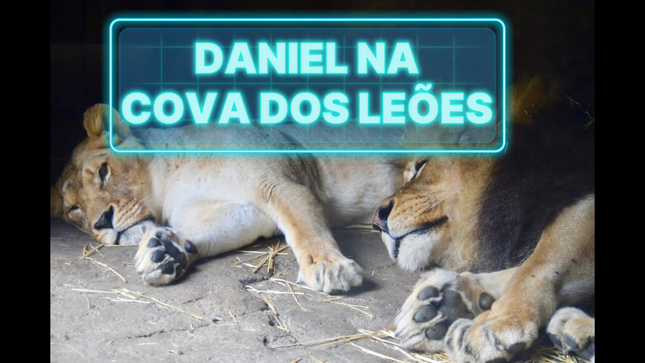 Daniel na Cova dos Leões - O poder dos anjos livra o povo de Deus!