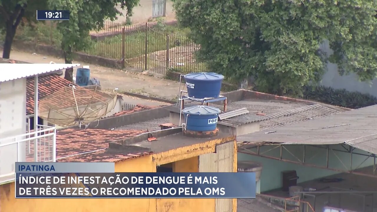 Ipatinga: Índice de Infestação de Dengue é mais de Três Vezes o Recomendado pela OMS.