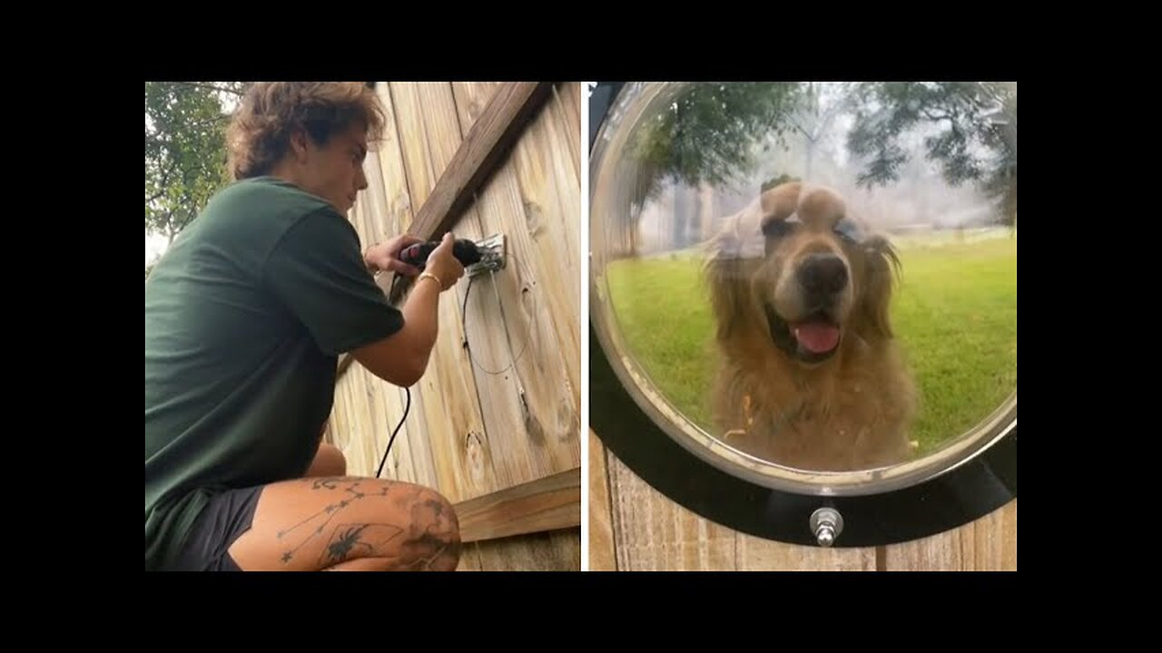 Guy puts window in fence for pup to see through