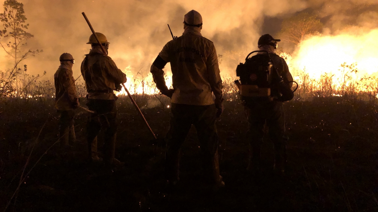 Brazil Bans Land-Clearing Fires For Two Months