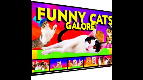 2023's Top Funny Animal Videos: Cutest and Most Hilarious Pets!