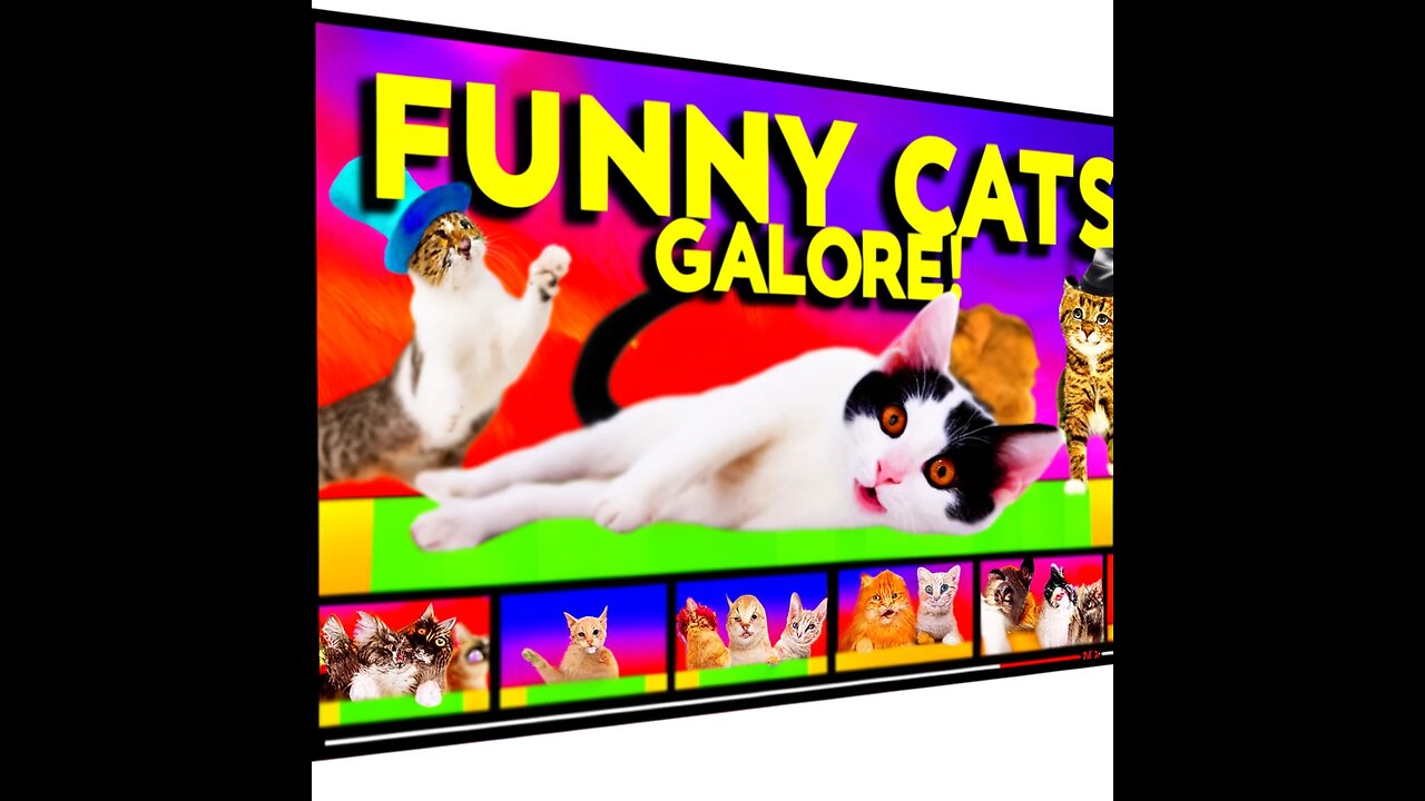 2023's Top Funny Animal Videos: Cutest and Most Hilarious Pets!