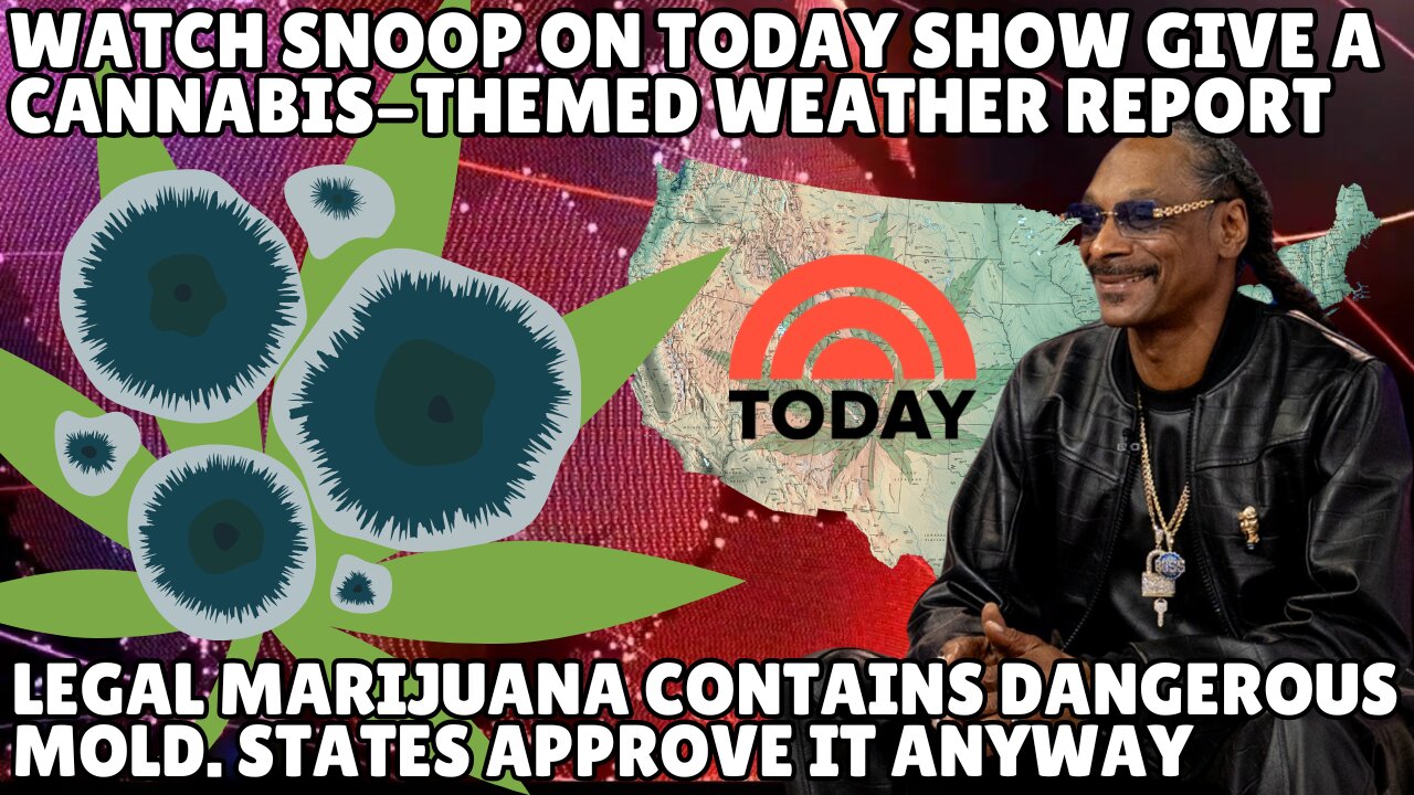 Legal Marijuana Contains Mold. States Approve It Anyway | SPECIAL REPORT: The Science of Dank