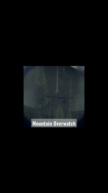 #DayZ The good Shepherd