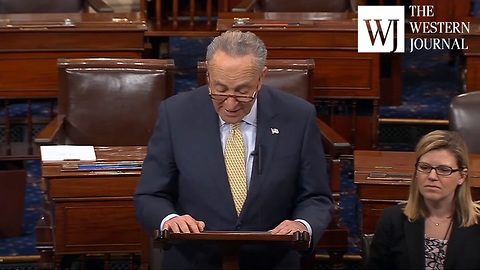 Cameras Catch Schumer Refusing To Help Border Kids, Wants To Hurt Trump Instead