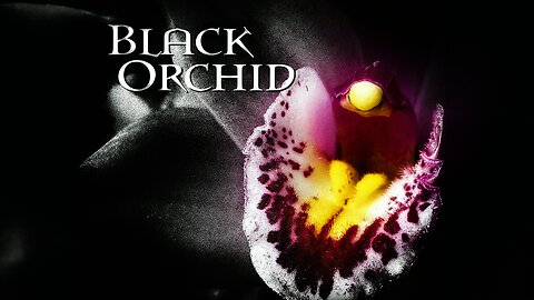 2020 Black Orchid 4K