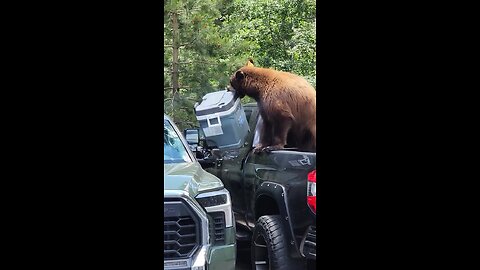 I'm here for the party