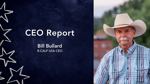 CEO Report