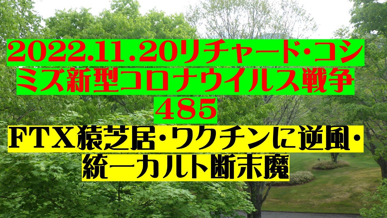 2022.１１．20リチャード・コシミズ新型コロナウイルス戦争 ４８5