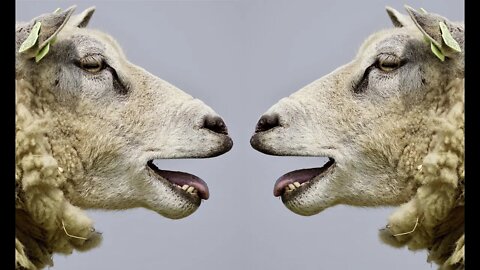 The Challenge Season 38 episode 5 Review