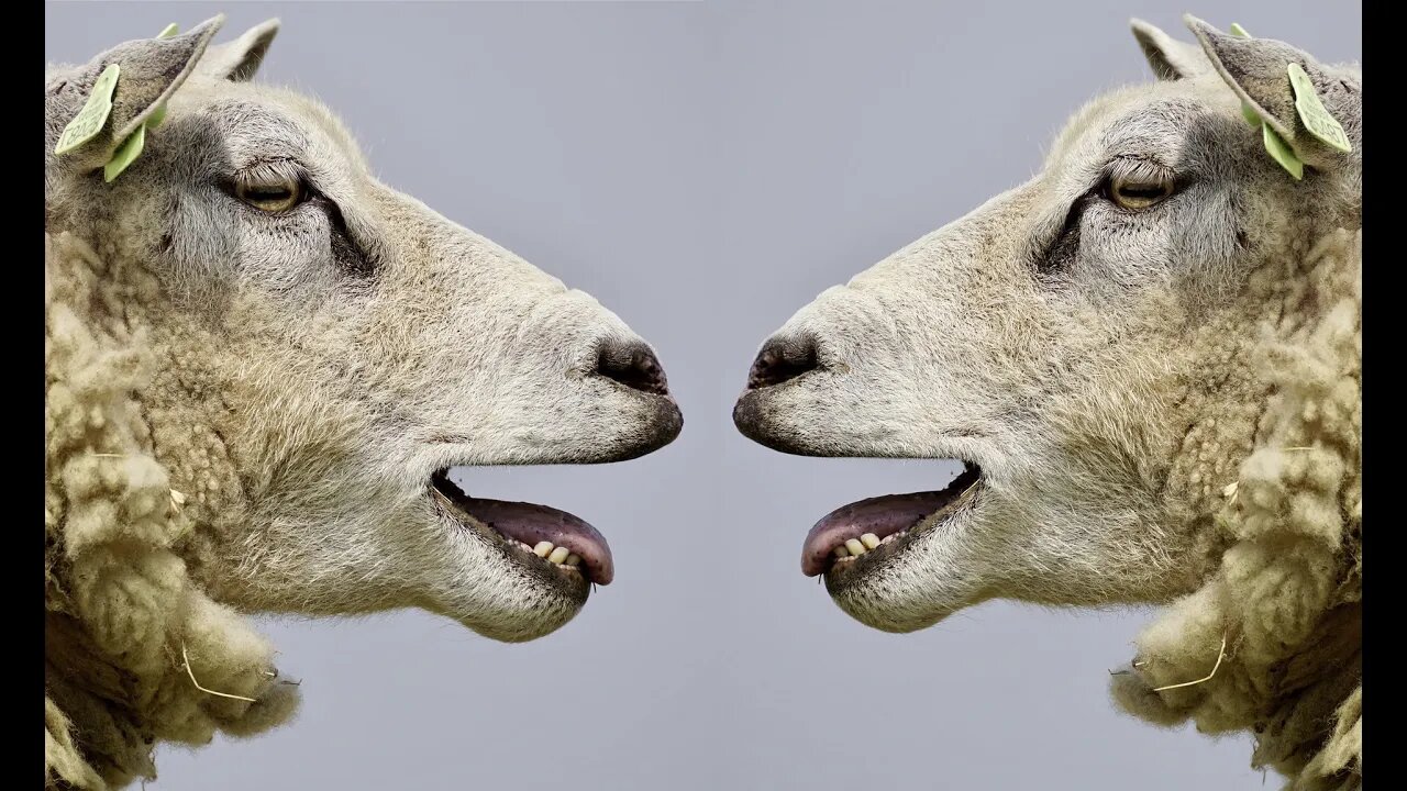 The Challenge Season 38 episode 5 Review