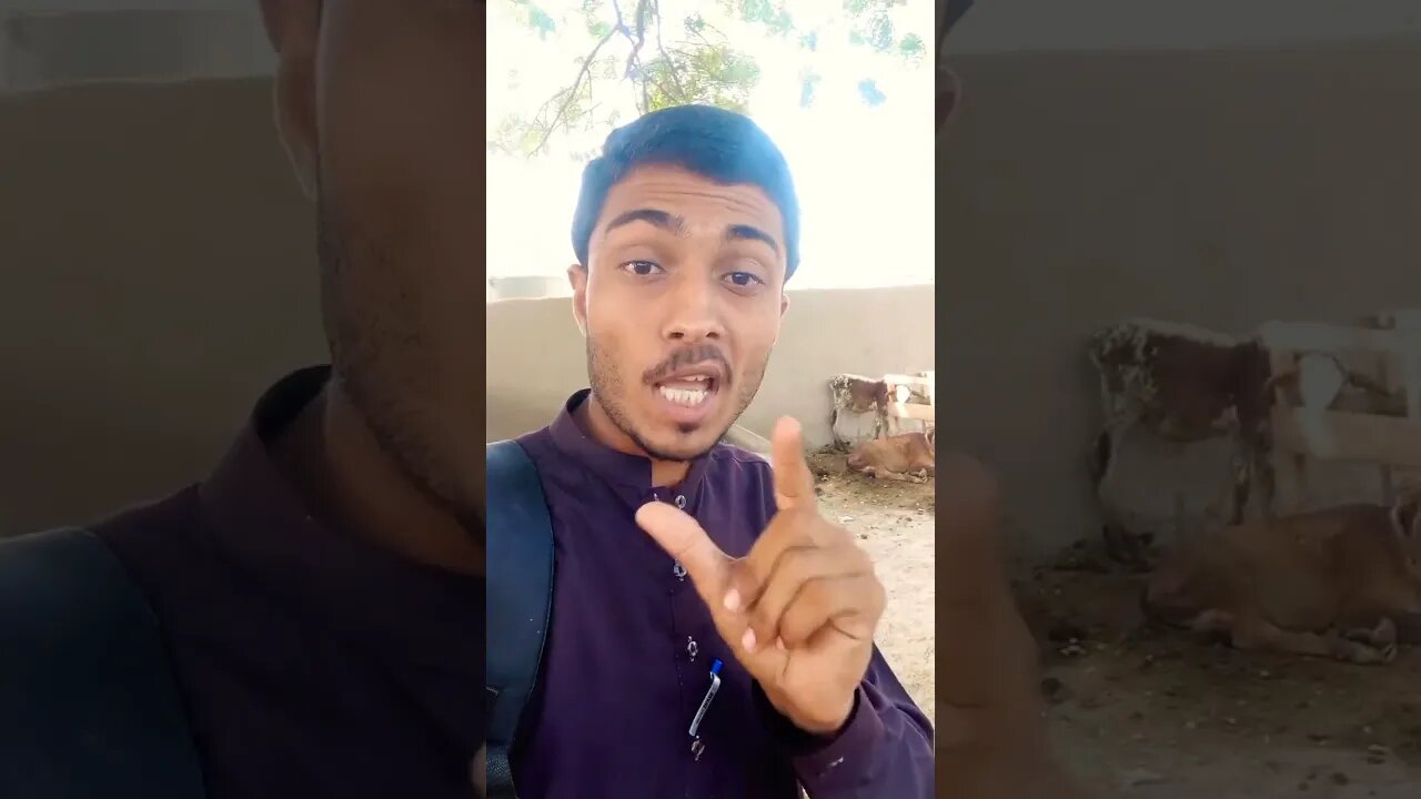 Aj ka viloge Sham 6:30 pe upload hoga 4 jul 2023