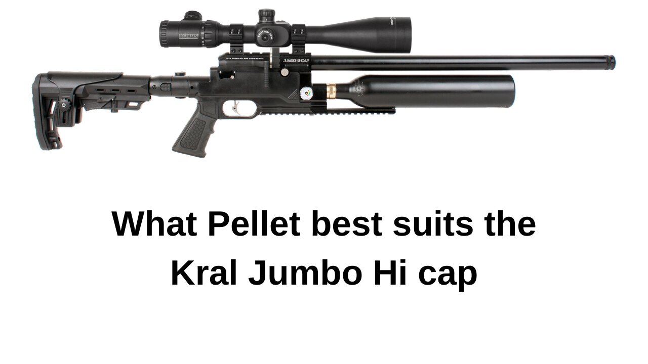 What pellet best suits the Kral Jumbo Hi Cap