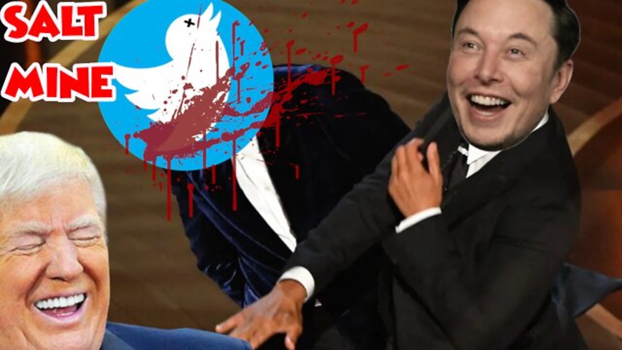 Twitter Employees Meltdown in Cry Closets After Elon Musk Buys Stock