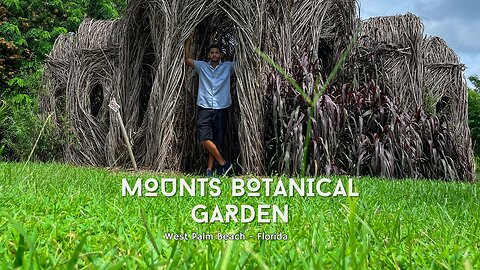 Mounts Botanical Garden in West Palm Beach Florida Tour