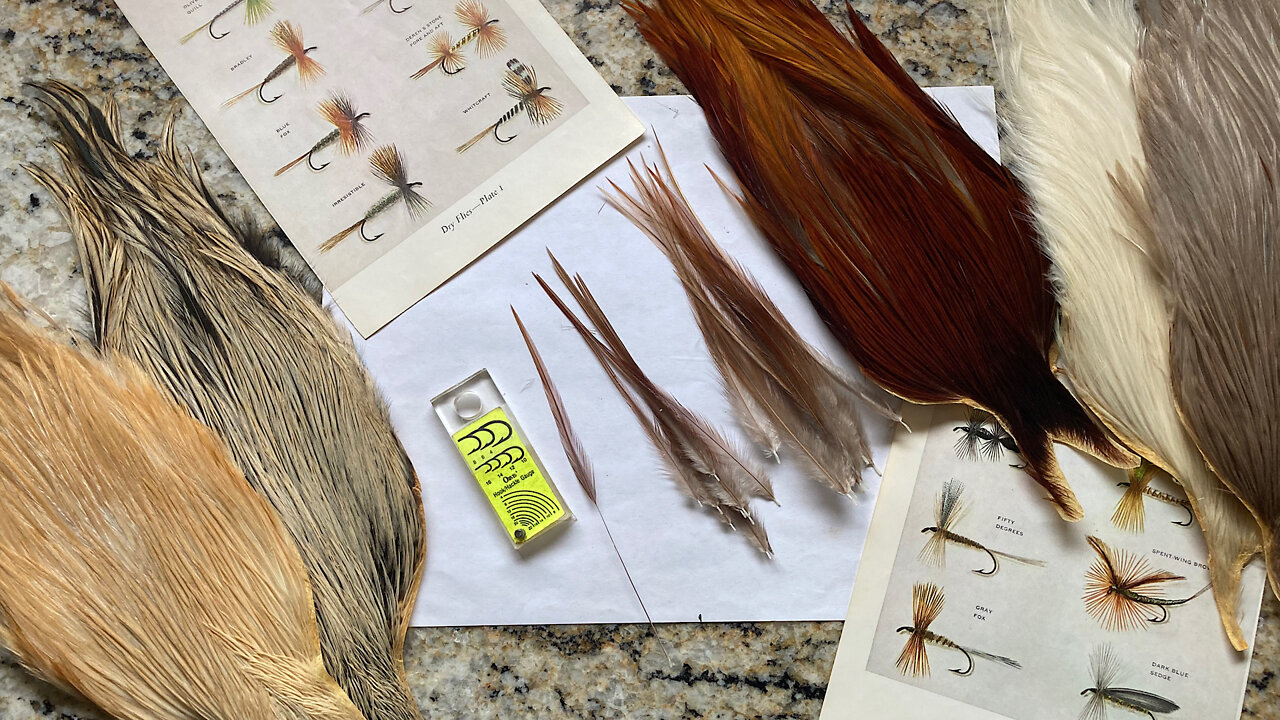 Fly Tying Class Lesson #9 Sizing Dry Fly Hackles