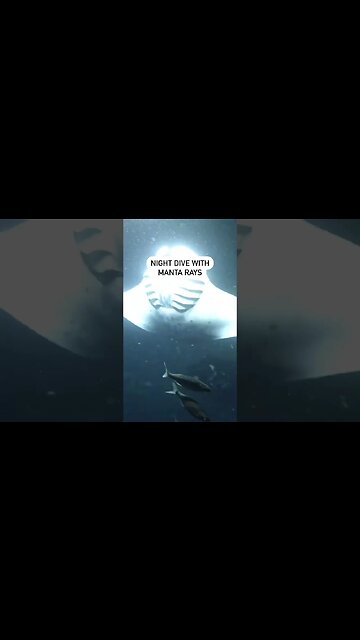 A perfect 4 day ACTION PACKED trip to the Big Island of Hawaii! #hawaii #bigisland