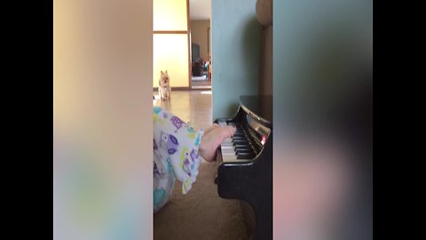 Little Girl is Pianist in the Making