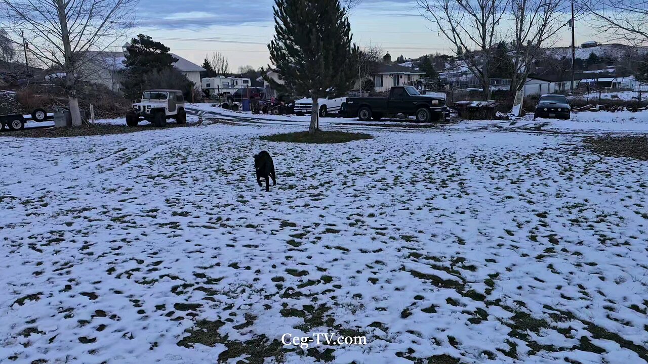 Graham Family Farm: 4:00 PM December 15th 2024