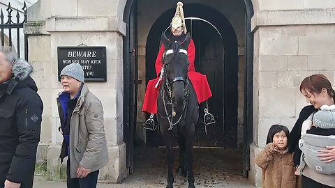 The kings guards horse waiting for the right moment #thekingsguard