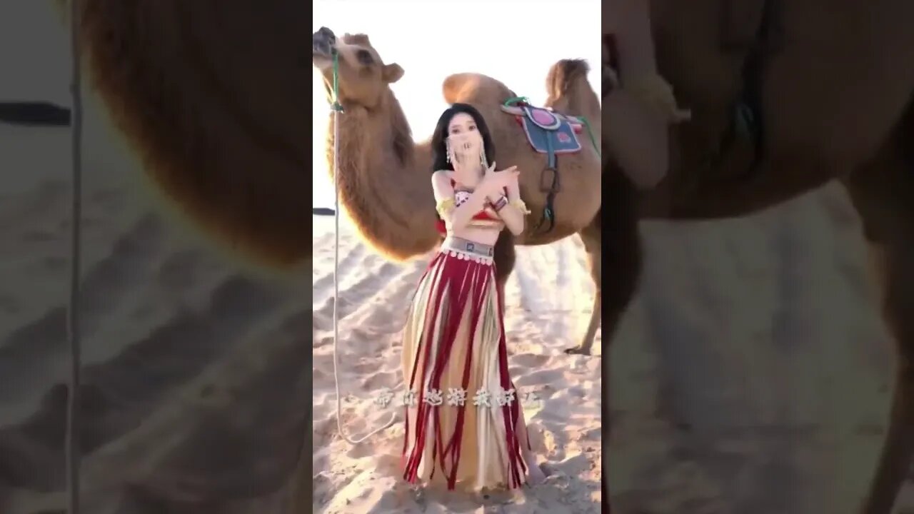 Sexy Chinese Belly Dancer Get The Full Attention of a Camel