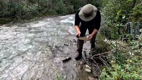 Days Solo Camping in the Yukon Wilderness -14