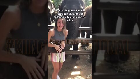 Elephant 🐘 body slams girl 😮😳 #kiingmotivational