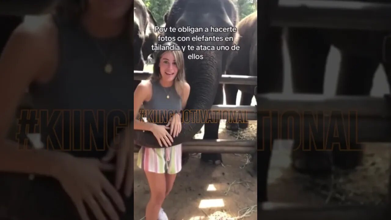 Elephant 🐘 body slams girl 😮😳 #kiingmotivational