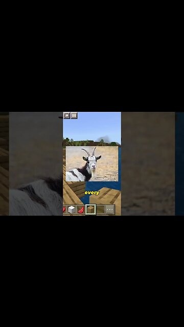 A Goat Every Morning?