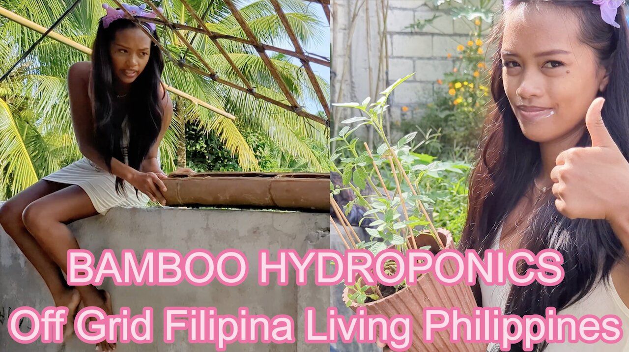 🇵🇭 HOW TO: Bamboo Tomato Hydroponics Growing Off Grid Island Family Tiny House Living Philippines