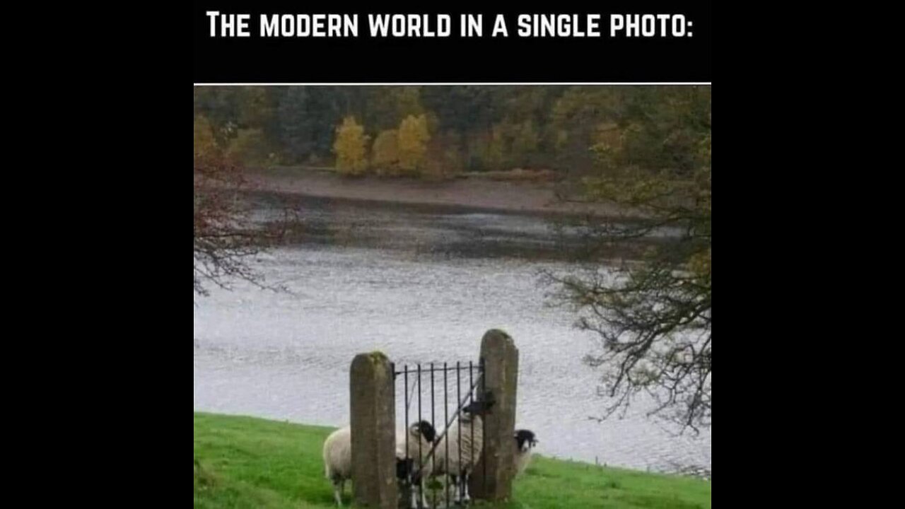 Some stuff I can't explain or say yet lal💜🙏💜🧙‍♂️