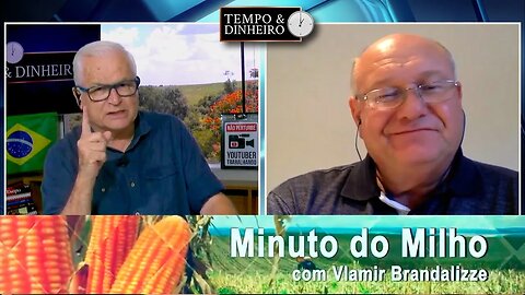 Milho segurando fôlego em plena colheita
