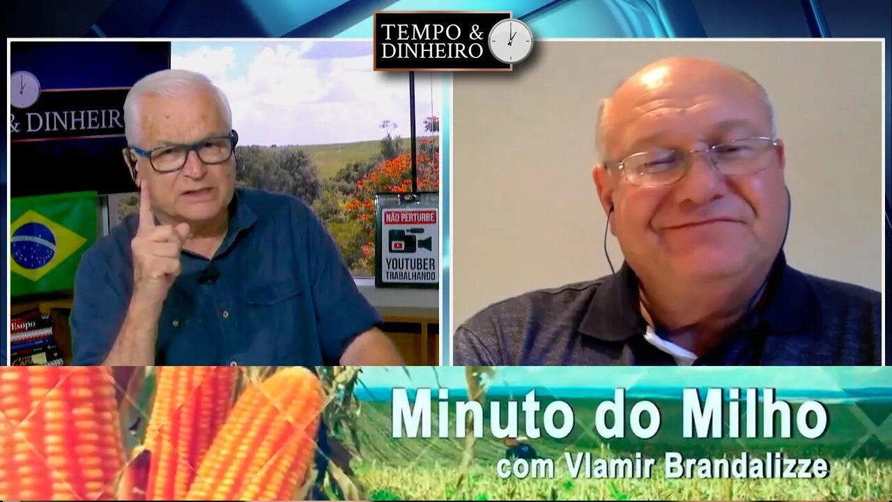 Milho segurando fôlego em plena colheita