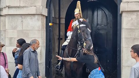 A horse shows love to tourist's #horseguardsparade