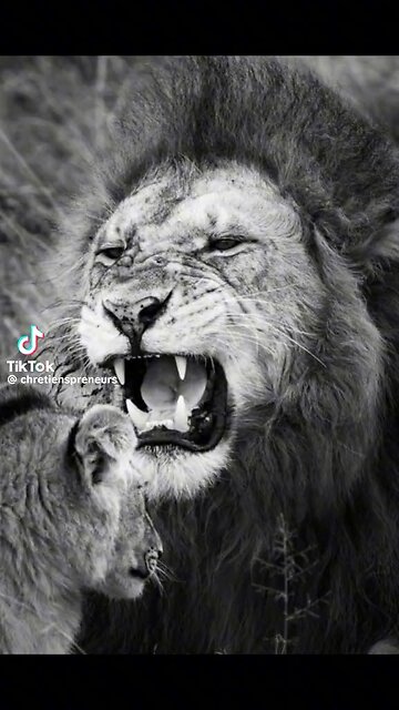 BELIEF Drives A Leader. #TheBag 💰