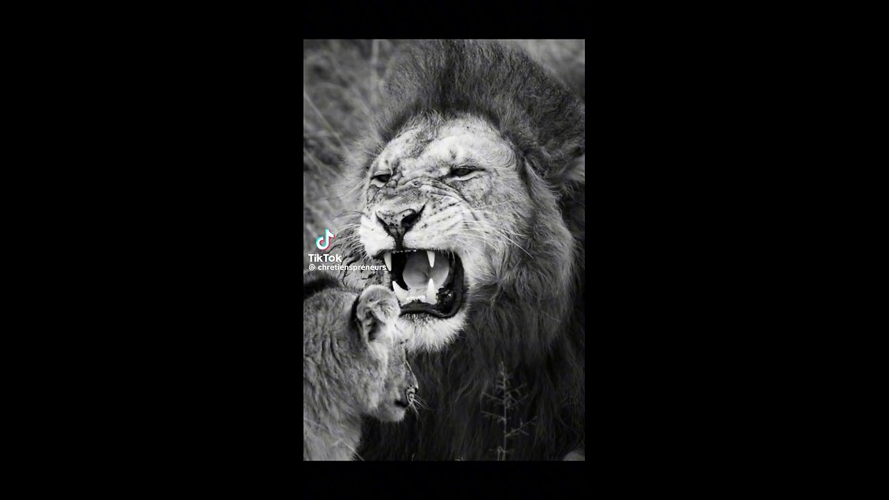 BELIEF Drives A Leader. #TheBag 💰